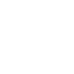 ce logo Bellevue